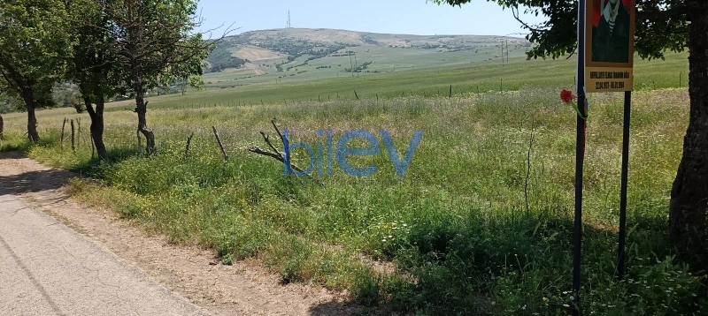 Satış  otaqlı Torpaq  45m², Lerik