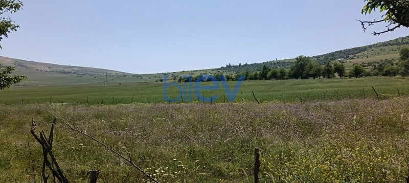 Satış  otaqlı Torpaq  45m², Lerik