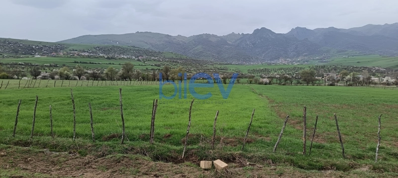Satış  otaqlı Torpaq  45m², Lerik