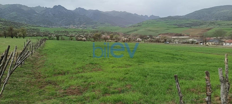 Satış  otaqlı Torpaq  45m², Lerik