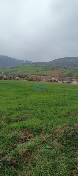 Satış  otaqlı Torpaq  45m², Lerik