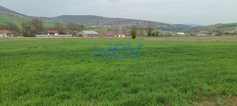 Satış  otaqlı Torpaq  45m², Lerik