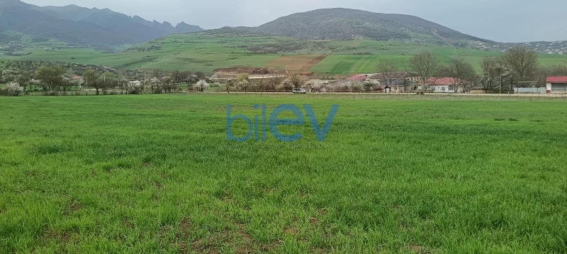 Satış  otaqlı Torpaq  45m², Lerik