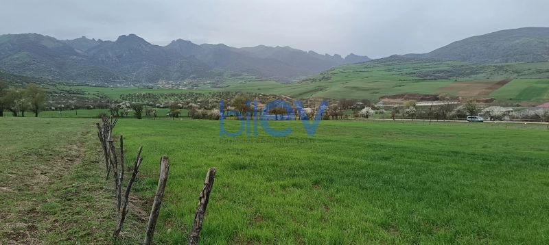 Satış  otaqlı Torpaq  45m², Lerik