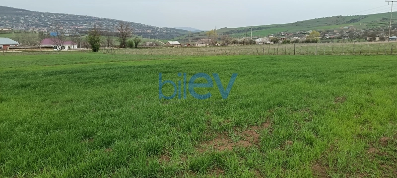 Satış  otaqlı Torpaq  45m², Lerik