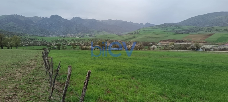 Satış  otaqlı Torpaq  45m², Lerik