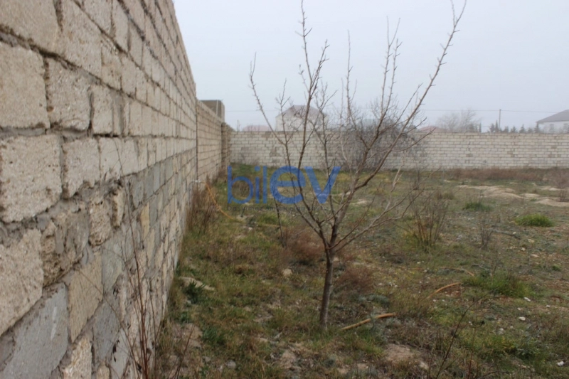 Satış  otaqlı Torpaq  15m², Bakı