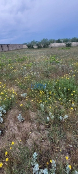 Satış  otaqlı Torpaq  m², Bakı