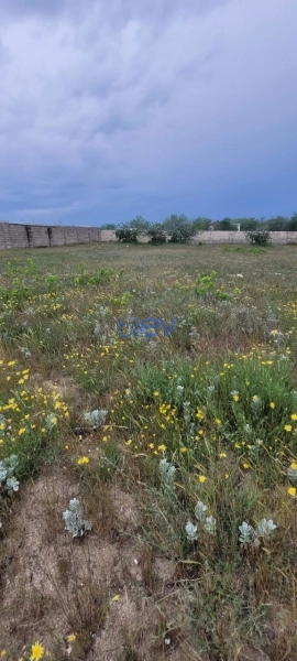 Satış  otaqlı Torpaq  m², Bakı