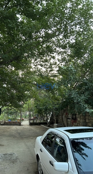 Satış 1 otaqlı Torpaq  7000m², Sumqayıt