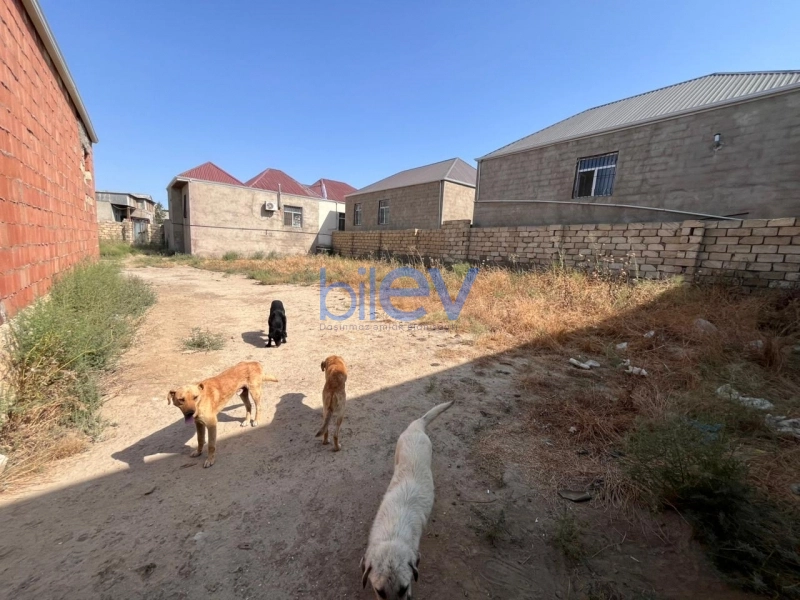 Satış  otaqlı Torpaq  6m², Bakı