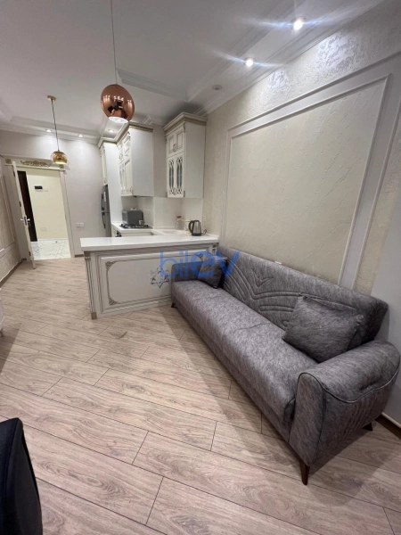 Aylıq Kirayə 2 otaqlı Yeni Tikili bina evi  66m², Bakı