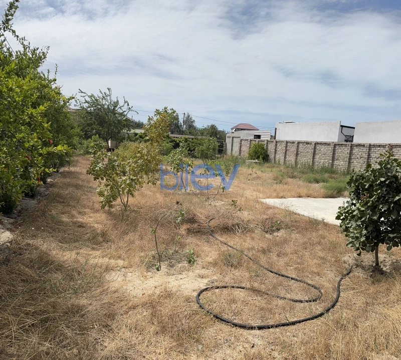 Satış  otaqlı Torpaq  m², Bakı