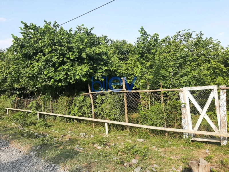 Satış  otaqlı Torpaq  43m², Qəbələ