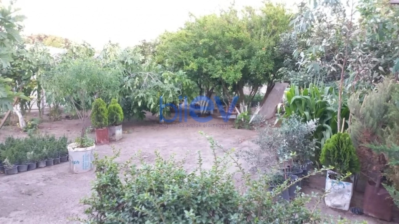 Satış  otaqlı Torpaq  1300m², Bakı