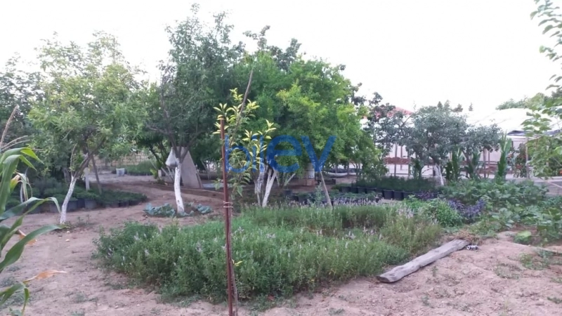 Satış  otaqlı Torpaq  1300m², Bakı