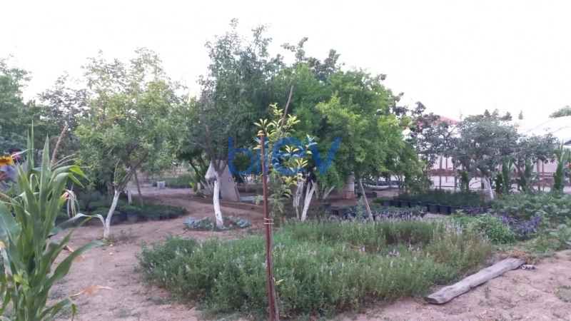 Satış  otaqlı Torpaq  1300m², Bakı