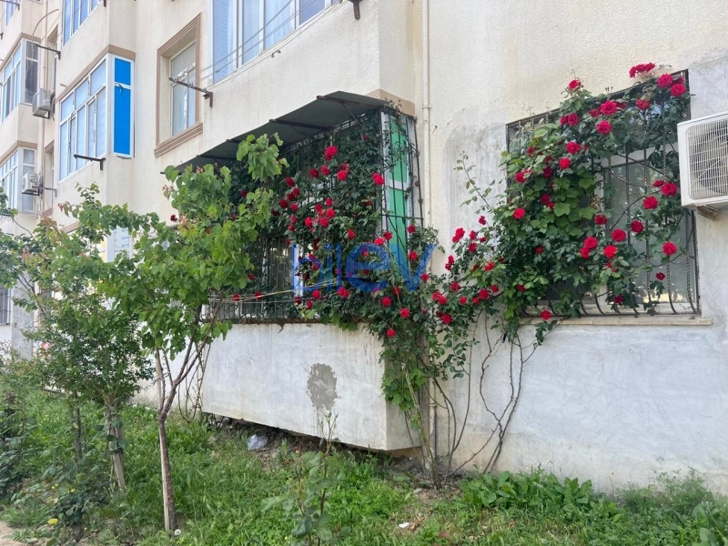 Satış 2 otaqlı Yeni Tikili bina evi  46m², Bakı