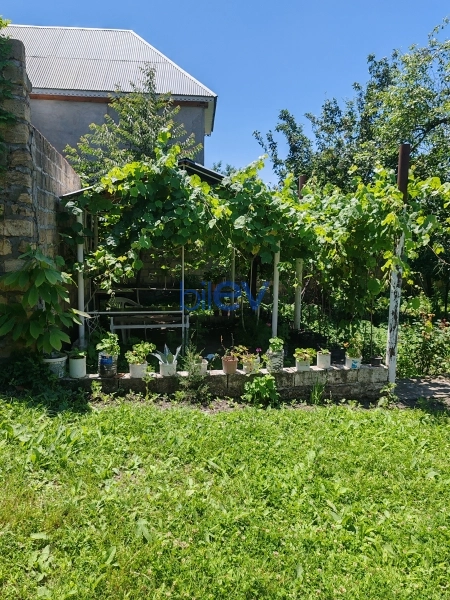 Satış 4 otaqlı Həyət evi  1300m², Qəbələ