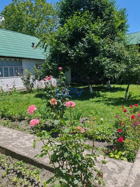 Satış 4 otaqlı Həyət evi  1300m², Qəbələ