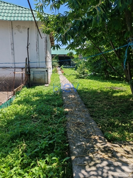 Satış 4 otaqlı Həyət evi  1300m², Qəbələ