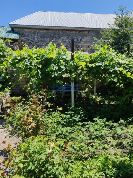 Satış 4 otaqlı Həyət evi  1300m², Qəbələ