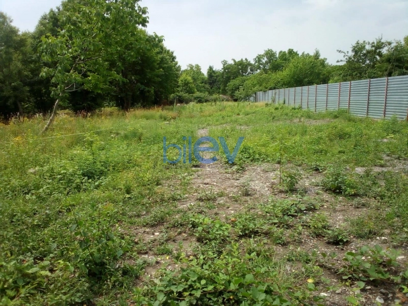 Satış  otaqlı Torpaq  10m², Qəbələ