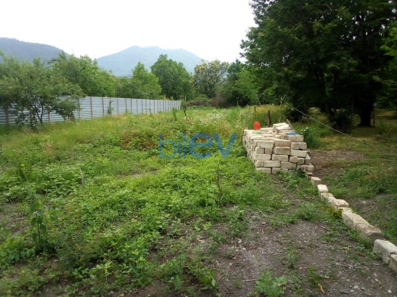 Satış  otaqlı Torpaq  10m², Qəbələ
