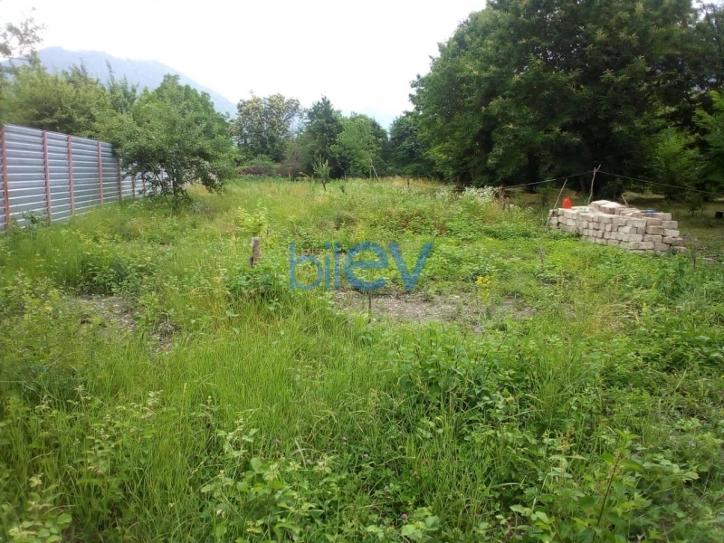 Satış  otaqlı Torpaq  10m², Qəbələ