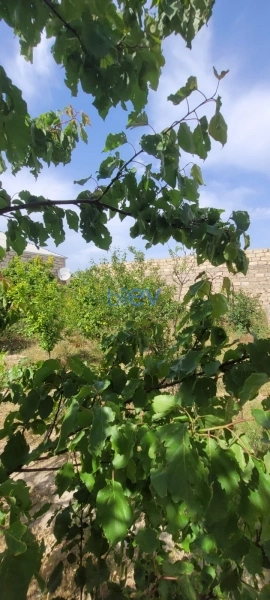 Satış 3 otaqlı Həyət evi  110m², Bakı