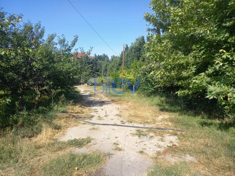 Satış 7 otaqlı Bağ evi  440m², Bakı
