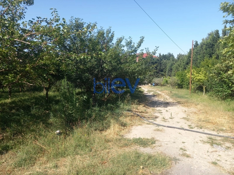 Satış 7 otaqlı Bağ evi  440m², Bakı