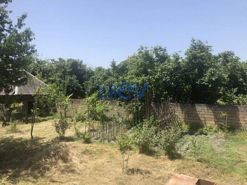 Satış  otaqlı Torpaq  1200m², Qəbələ