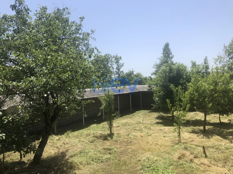 Satış  otaqlı Torpaq  1200m², Qəbələ