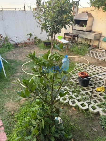 Satış 4 otaqlı Həyət evi  100m², Bakı
