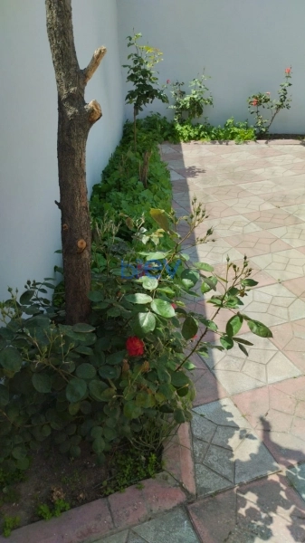 Satış 4 otaqlı Həyət evi  210m², Bakı