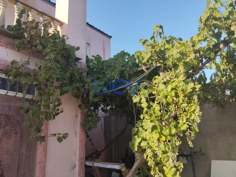 Satış  otaqlı Obyekt  270m², Bakı