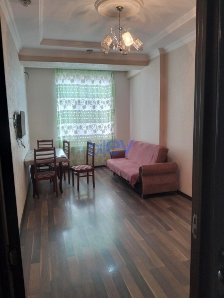 Aylıq Kirayə 2 otaqlı Yeni Tikili bina evi  55m², Bakı