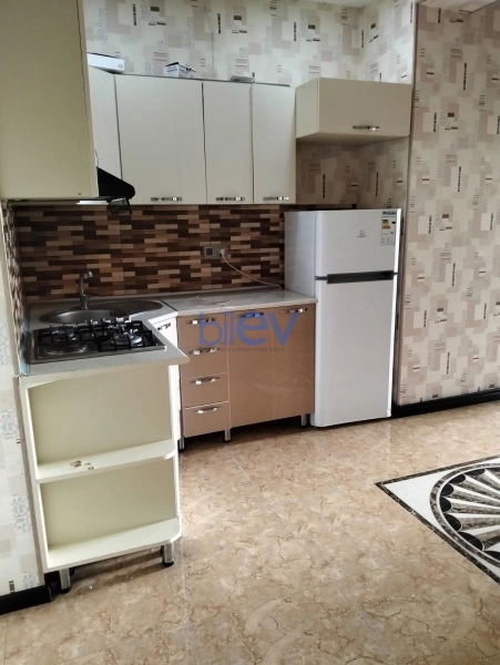 Aylıq Kirayə 2 otaqlı Yeni Tikili bina evi  55m², Bakı