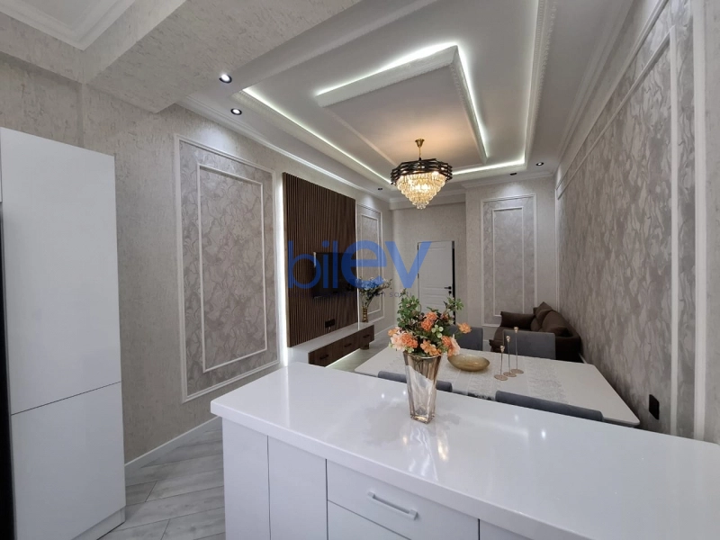 Satış 2 otaqlı Yeni Tikili bina evi  55m², Bakı