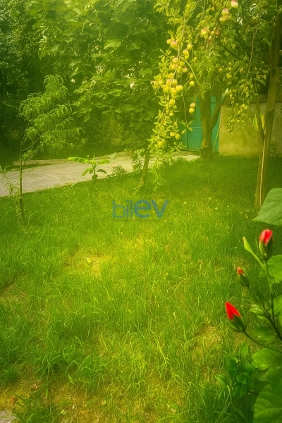 Günlük Kirayə 2 otaqlı Həyət evi  180m², İsmayıllı