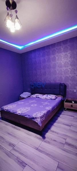 Günlük Kirayə 4 otaqlı Bağ evi  240m², Bakı