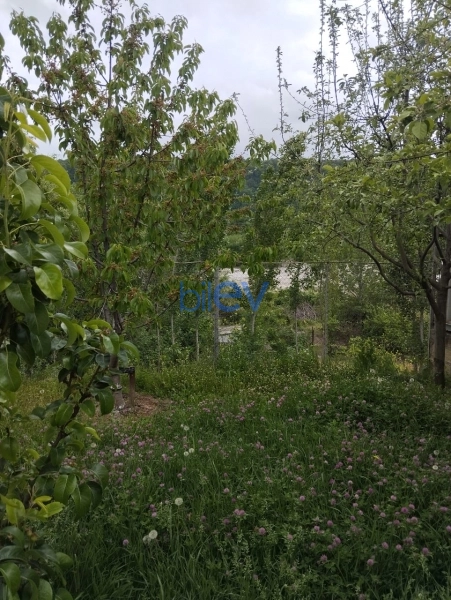 Günlük Kirayə 5 otaqlı Bağ evi  900m², Qusar