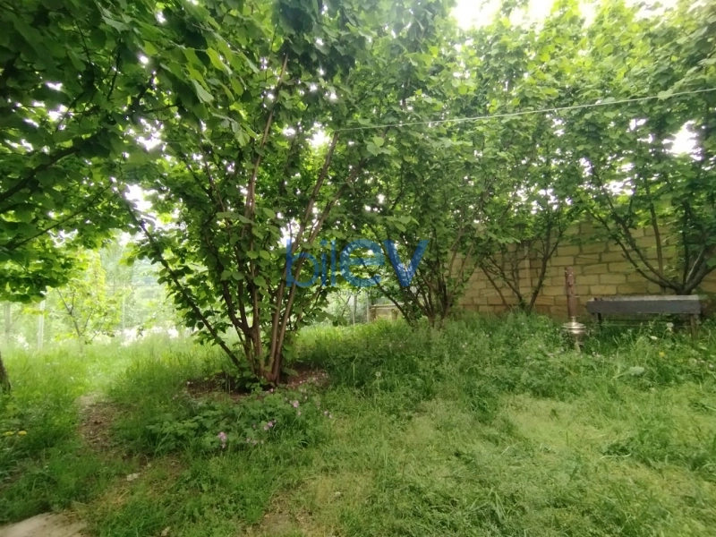 Günlük Kirayə 5 otaqlı Bağ evi  900m², Qusar