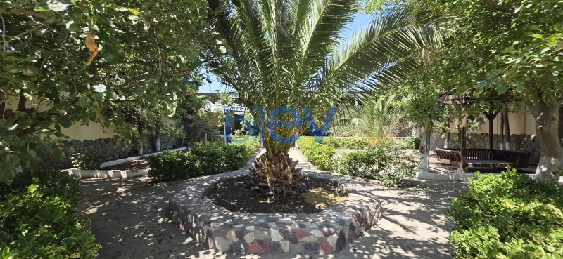 Günlük Kirayə 3 otaqlı Bağ evi  150m², Bakı