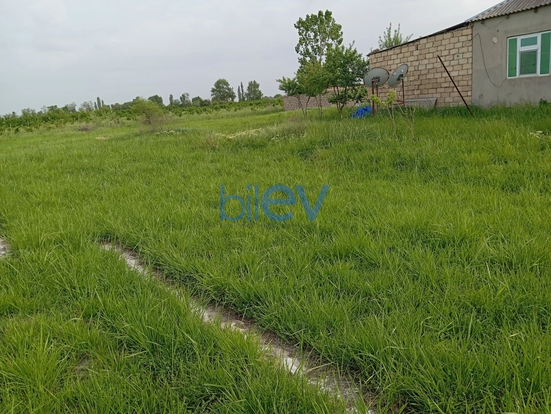 Satış 4 otaqlı Bağ evi  150m², Xaçmaz
