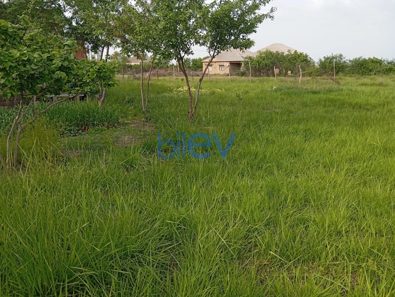 Satış 4 otaqlı Bağ evi  150m², Xaçmaz
