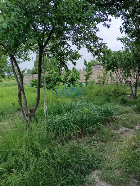 Satış 4 otaqlı Bağ evi  150m², Xaçmaz