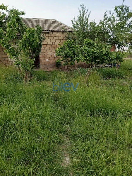 Satış 4 otaqlı Bağ evi  150m², Xaçmaz