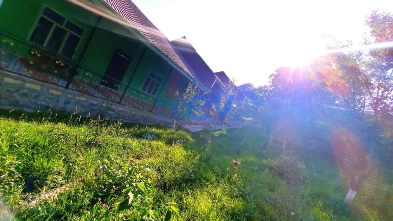 Günlük Kirayə 2 otaqlı Bağ evi  50m², Şəki